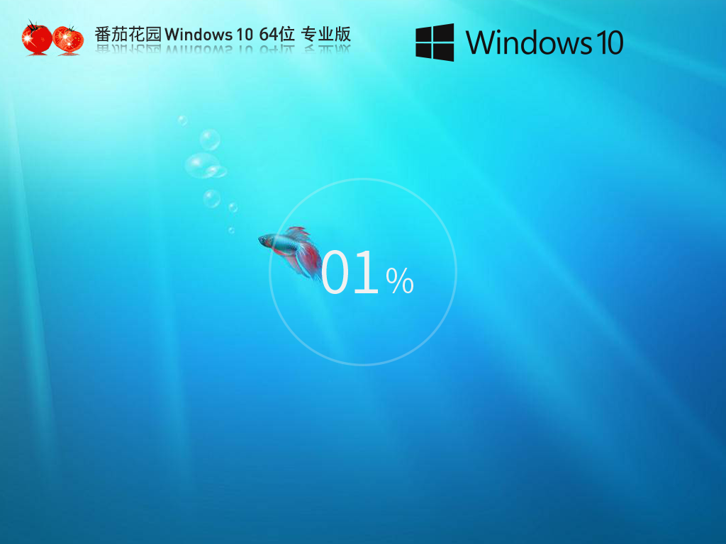 【品牌系统】番茄花园 Windows10 64位 官方专业版