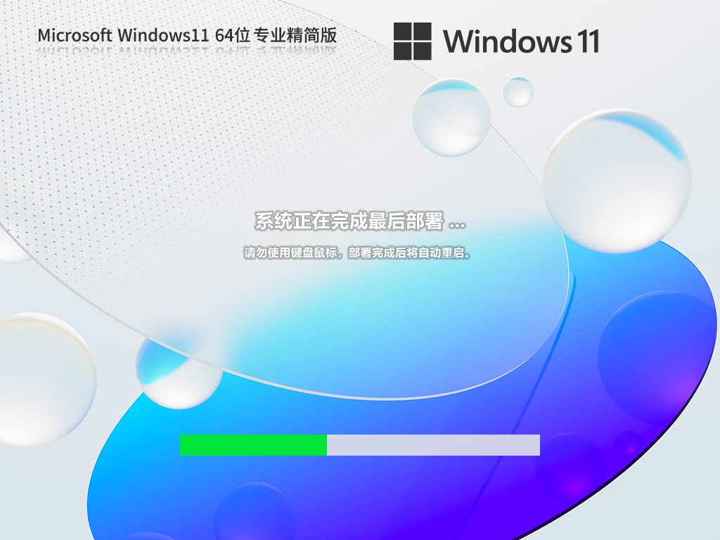 Windows11 22H2 64位 专业精简版