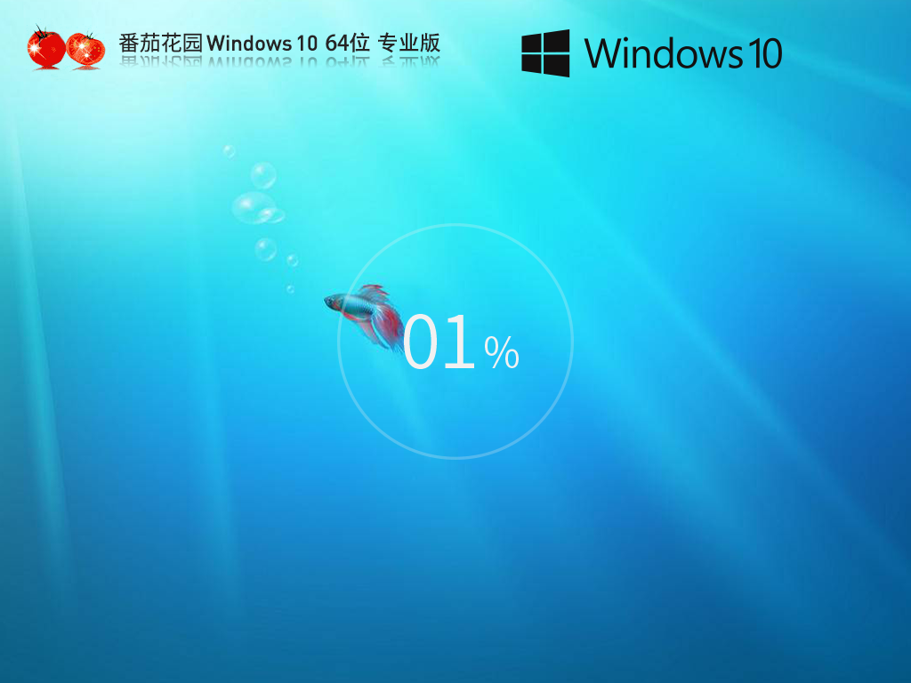 【番茄花园】 Windows10 22H2 64位 官方专业版